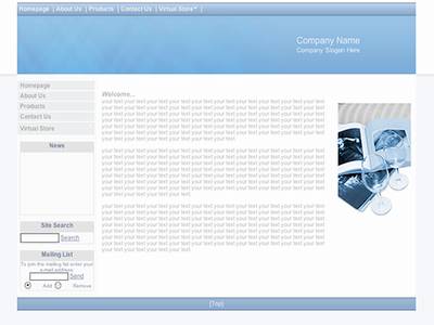 Business with Virtual Store